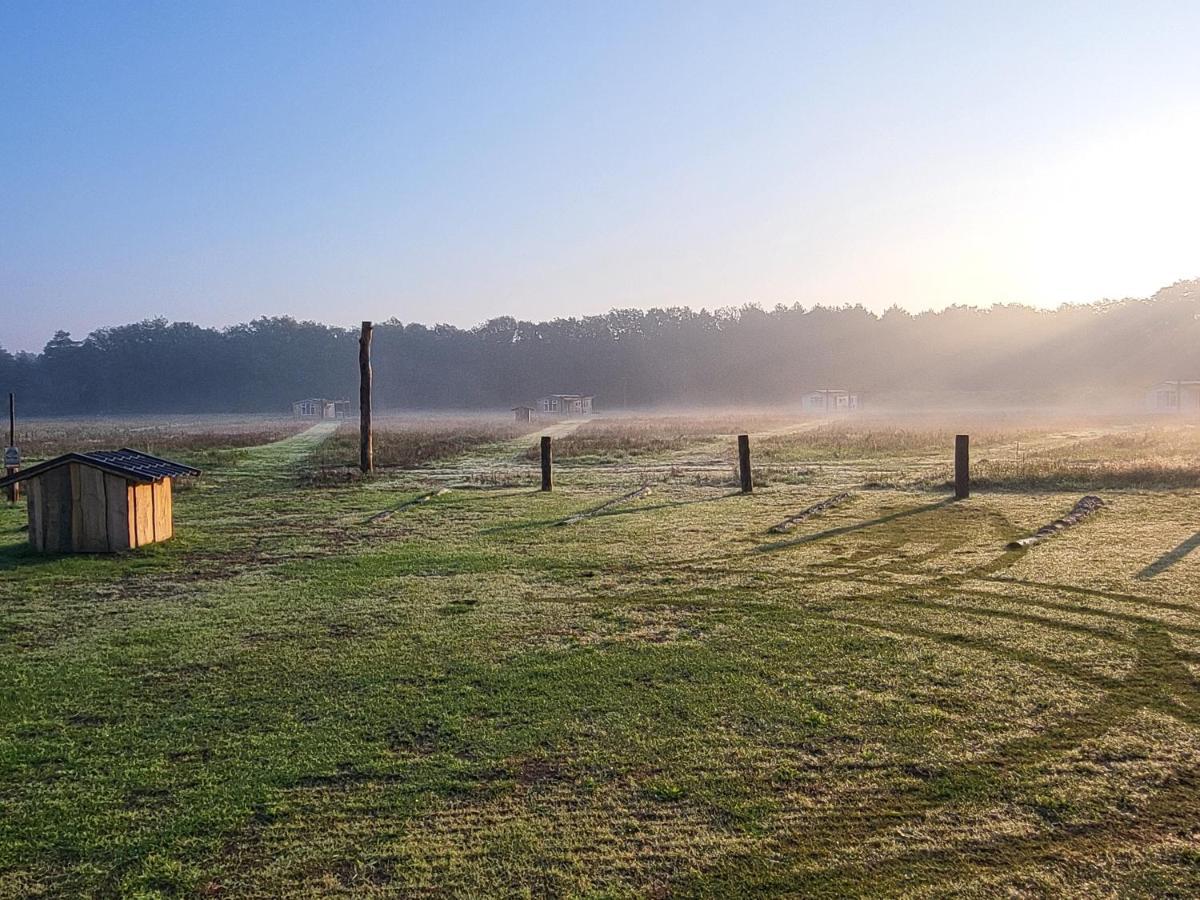 Hoeve Twente - De Bonte Specht Villa Heythuysen Exteriör bild