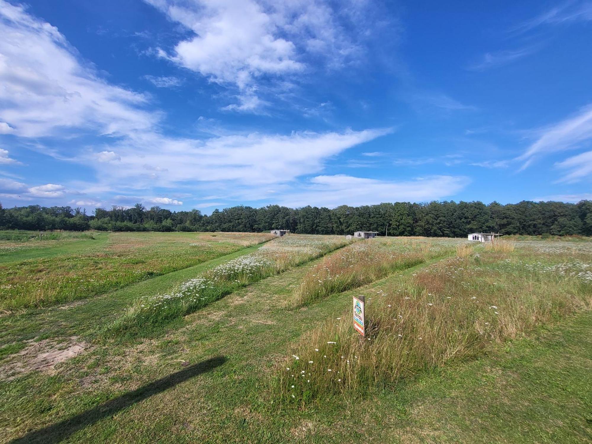 Hoeve Twente - De Bonte Specht Villa Heythuysen Exteriör bild